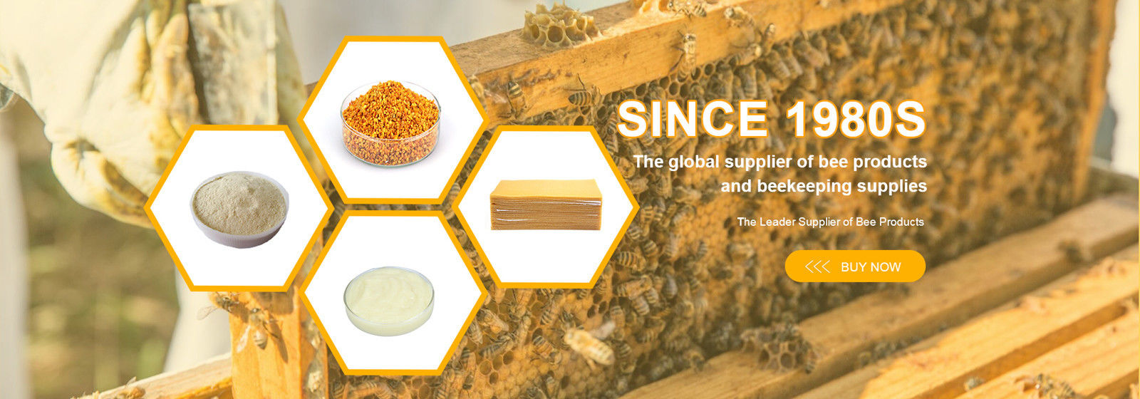 중국 최상 꿀벌 프로폴리스 추출물 판매에