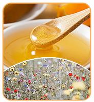 공장 공급품 대량 흑 꿀 고품질 건강 보조 식품 등급 흑 꿀 버킷 포장 5