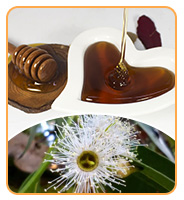 공장 공급품 대량 흑 꿀 고품질 건강 보조 식품 등급 흑 꿀 버킷 포장 13