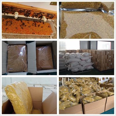 High Quality Sunflower Mixed Bee Pollen Manufacturer Supply Bulk Natural Wild Bee Pollen