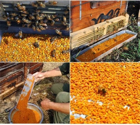 New Season Harvest Fresh Tea Bee Pollen Granules High Quality Herbal Extract 100% Pure Natural Tea Bee Pollen
