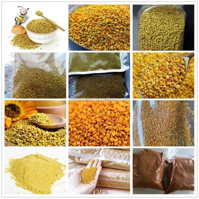 Bee Farm Supply Bulk Fresh Bee Pollen Food Grade Corn Bee Pollen 100% Pure Natural Herbal Extract