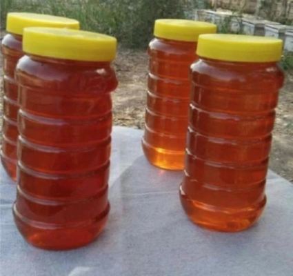 Wholesale Bulk Premium Amber Sidr Honey 100% Pure Natural Food Grade in Drum Packaging