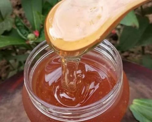 100% Pure Natural Sidr Honey Bulk Wholesale Manufacturer Supply Wild Raw Unfiltered Food Grade for Immunity