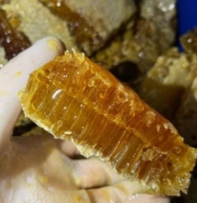 Fresh Organic Wild Comb Honey Food Grade Pure Natural Honey Factory Supply Bulk New Season Harvest Honeycomb