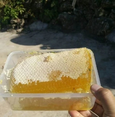OEM Sweet Comb Honey Food Grade Raw Honey Product 100% Pure Natural Honeycomb with High Nutritional Value