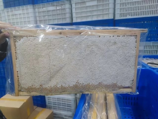 Fresh Organic Wild Comb Honey Food Grade Pure Natural Honey Factory Supply Bulk New Season Harvest Honeycomb