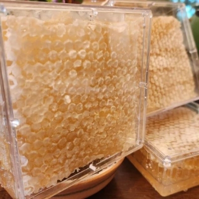 Factory Supply Bulk High Quality Honey Product Food Grade Honeycomb 100% Pure Natural Fresh Organic Comb Honey