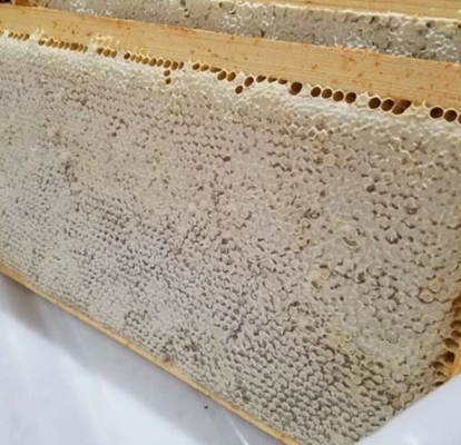 Factory Supply Bulk High Quality Honey Product Food Grade Honeycomb 100% Pure Natural Fresh Organic Comb Honey