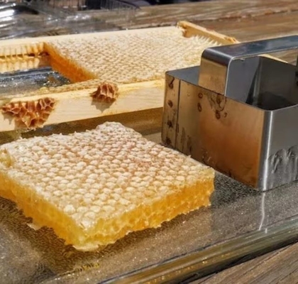 Fresh Organic Wild Comb Honey Food Grade Pure Natural Honey Factory Supply Bulk New Season Harvest Honeycomb