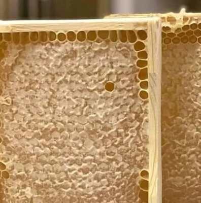 Best Price for Sale 100% Pure Natural Honeycomb High Quality Raw Honey Food Grade Comb Honey 500g in Box Packaging