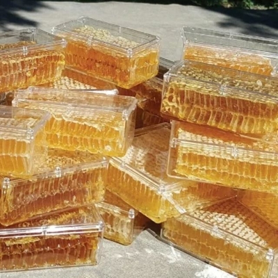 Factory Supply Bulk High Quality Honey Product Food Grade Honeycomb 100% Pure Natural Fresh Organic Comb Honey