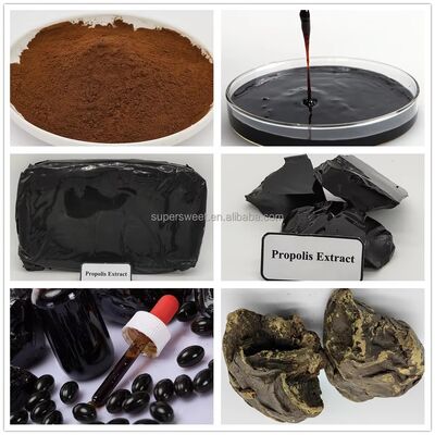High Quality Black Propolis Blocks Factory Supply Premium 98% Refined Propolis in Bag Packaging