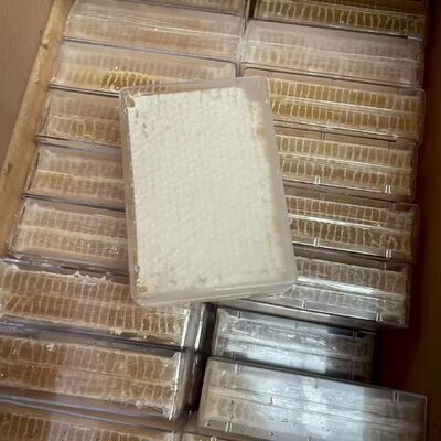 Premium Fresh Raw Honeycomb 500g Per Box 100% Pure Natural Sealed Comb Honey Bulk Supply