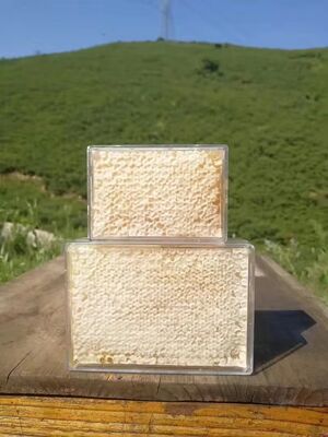 Super Best Selling New Season Harvest Raw Honeycomb 100% Pure Natural Organic Comb Honey Food Grade Bulk Supply