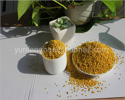 Human Consumption Pure Rape Bee Pollen Powder Natural Nourishment