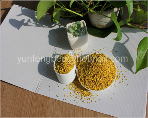 Professional Raw Pollen / Rape Bee Pollen For Beauty Skin Care