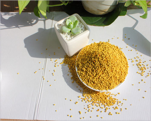 High Protein Pure Rape Flower Bee Pollen