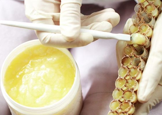 Top Food Grade Fresh Royal Jelly Liquid Pure Natural High Quality for Daily Health Immunity Vacuum Packed Bulk