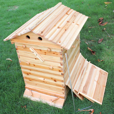 Chinese Wax-Coated Cedar Wood Automatic Self-Flowing Honey Bee Hive & 7 Auto Frames Apiculture Beekeeping Equipment Tool