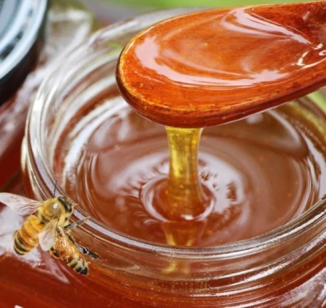 Factory Supply Bulk Food Grade Jujube Honey 100% Fresh Organic Liquid Honey New Season Harvest Premium Jujube Honey