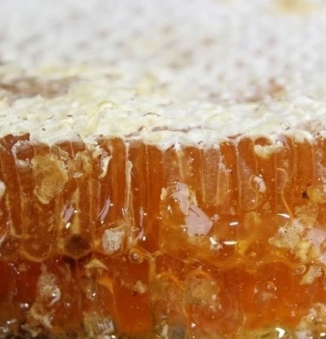 Fresh Organic Wild Comb Honey Food Grade Pure Natural Honey Factory Supply Bulk New Season Harvest Honeycomb