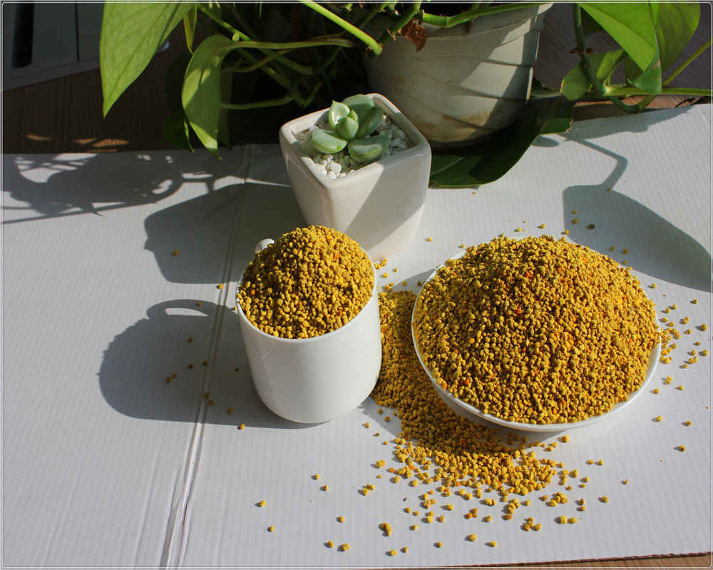 High Protein Pure Rape Flower Bee Pollen