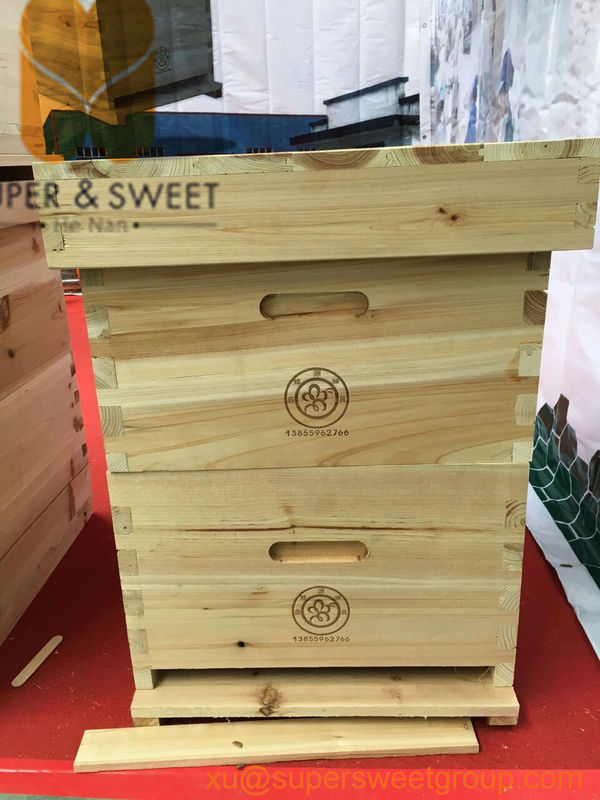 10 Frame 8 Frame Langstroth Hive , Beehive Langstroth Hive ISO9001 Available