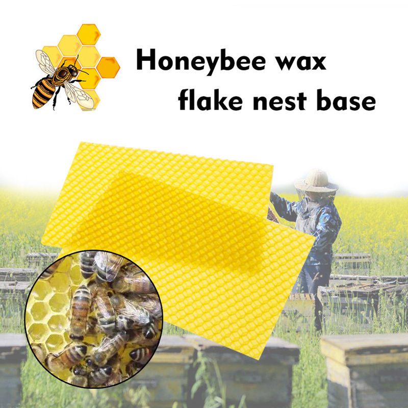 Honey Frame Beeswax Sheets Beekeeper Equipment Supplies Natural Beeswax Comb Foundations For Beehives / Candle Making