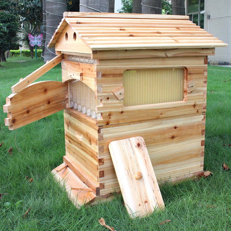 Chinese Wax-Coated Cedar Wood Automatic Self-Flowing Honey Bee Hive & 7 Auto Frames Apiculture Beekeeping Equipment Tool